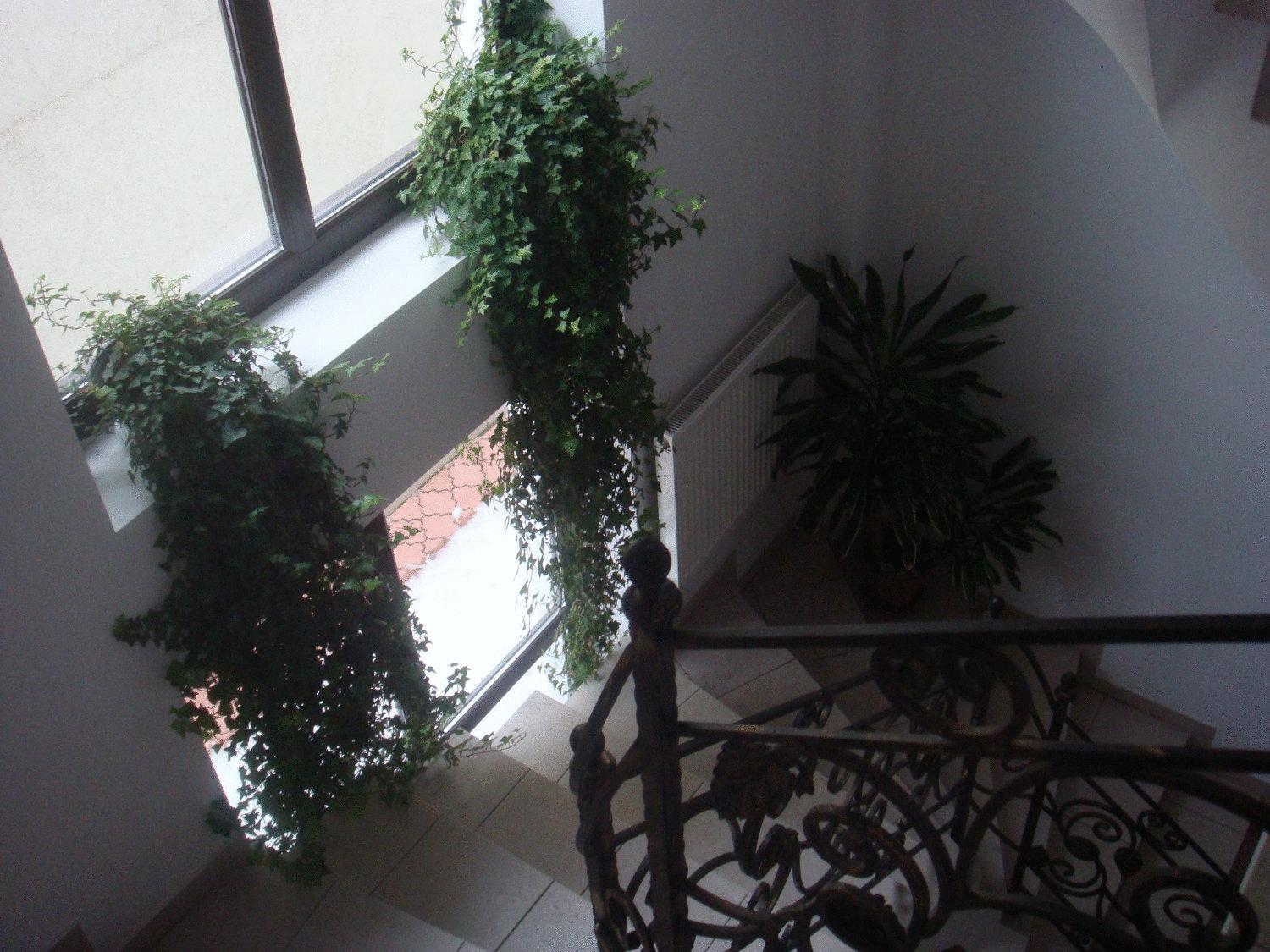 Hotel de apartamente Edera - Gazda Profesionista 3*